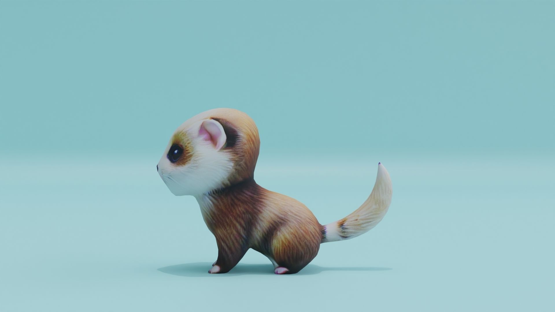 Baby Ferret Low-poly 3D model_3