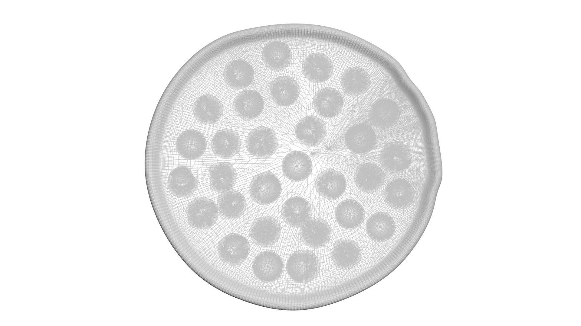 Pepperoni Pizza 3D model_21