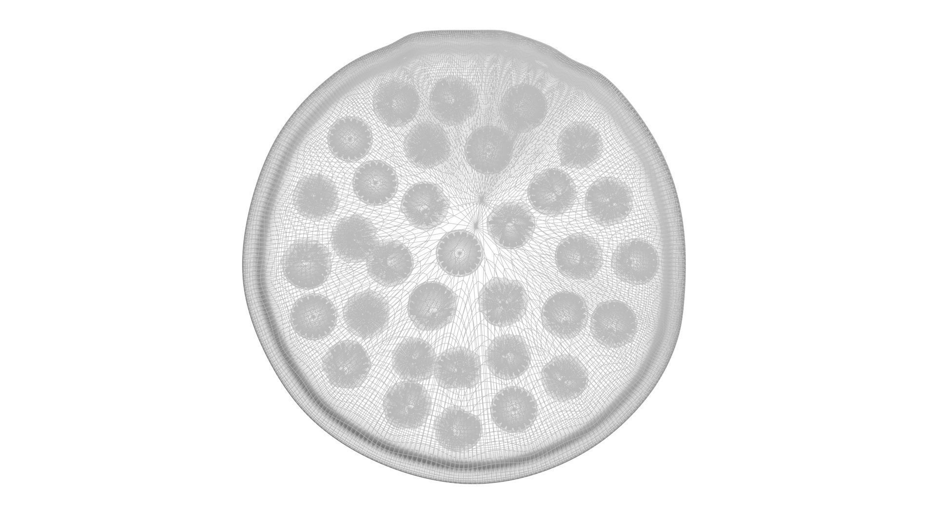 Pepperoni Pizza 3D model_22