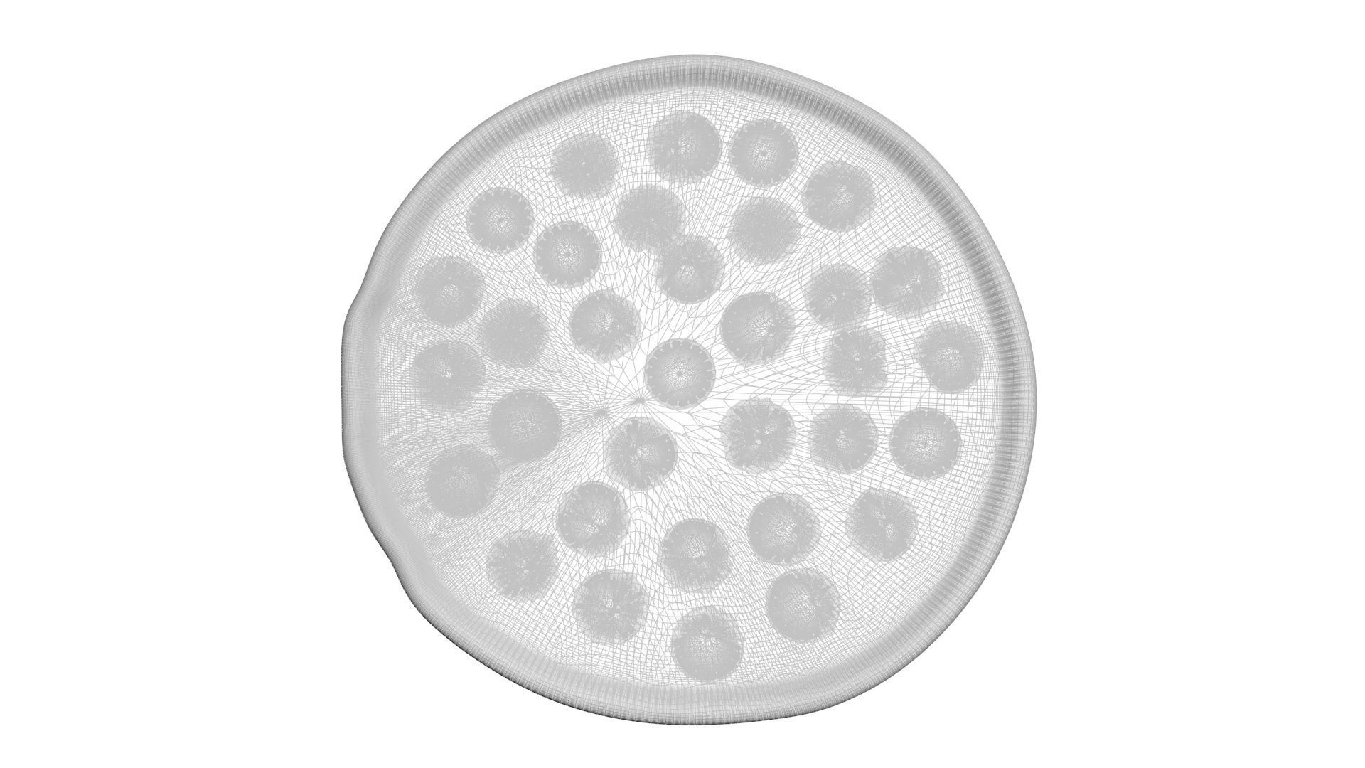 Pepperoni Pizza 3D model_19