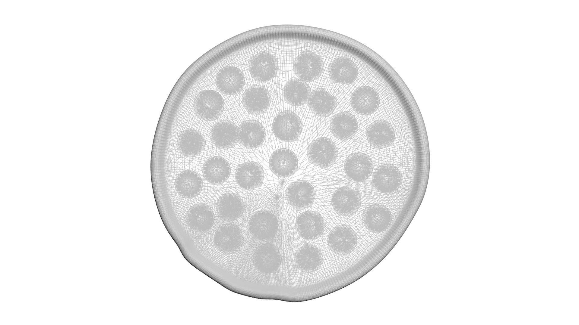 Pepperoni Pizza 3D model_23