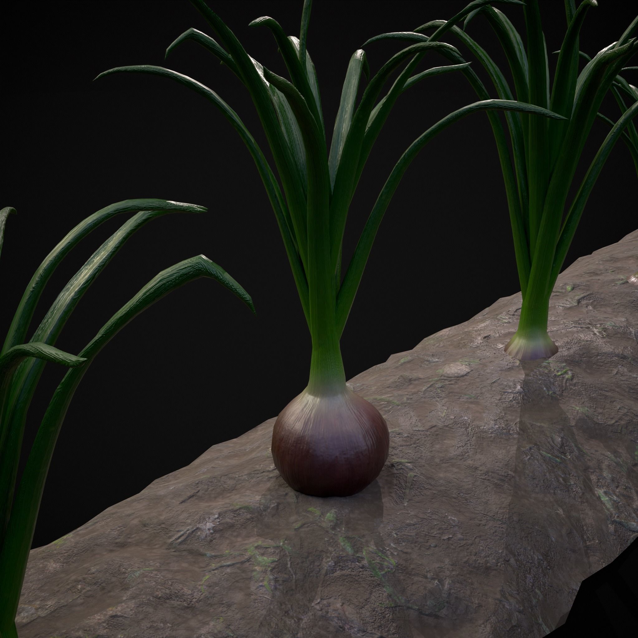 Crops Red Onions Low-poly 3D model_26