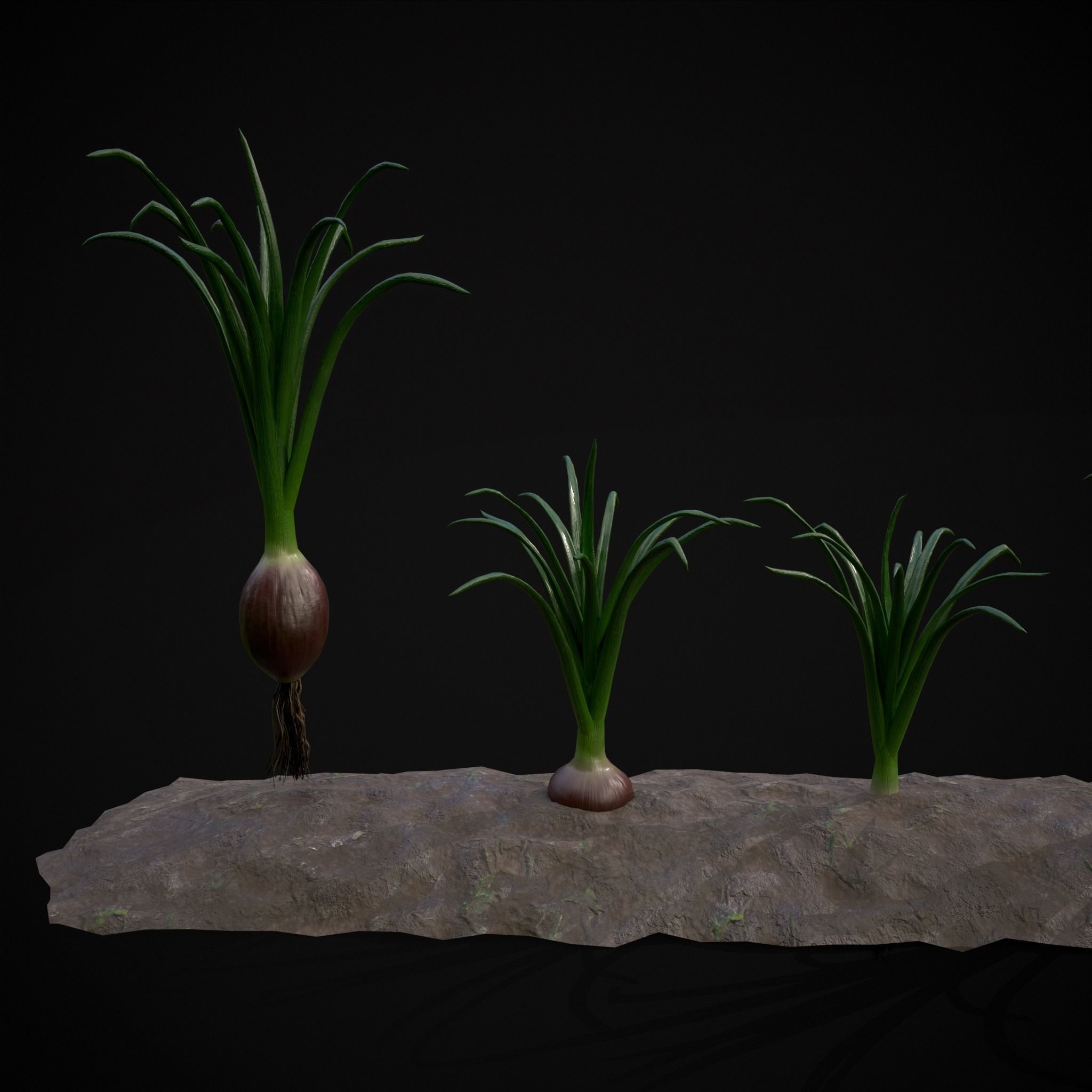 Crops Red Onions Low-poly 3D model_15