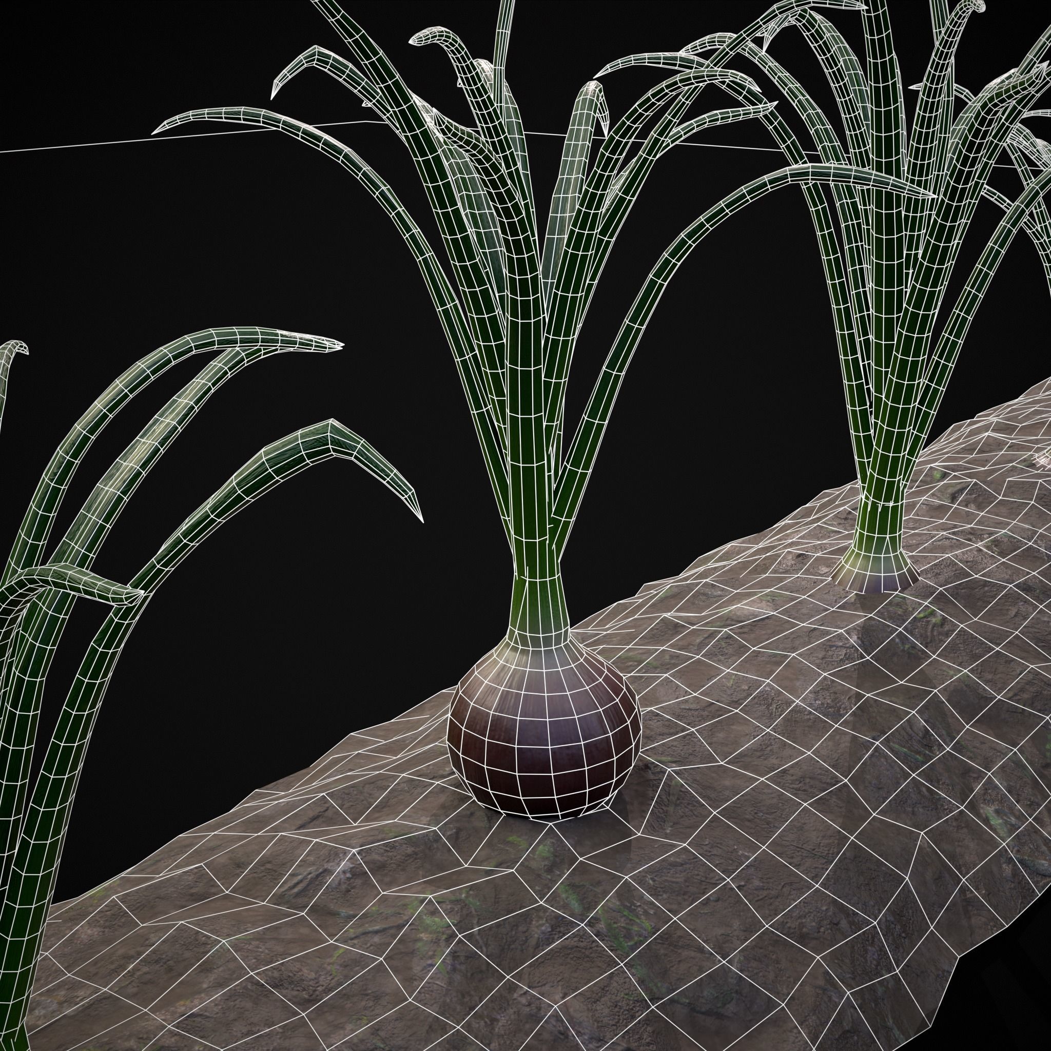 Crops Red Onions Low-poly 3D model_27