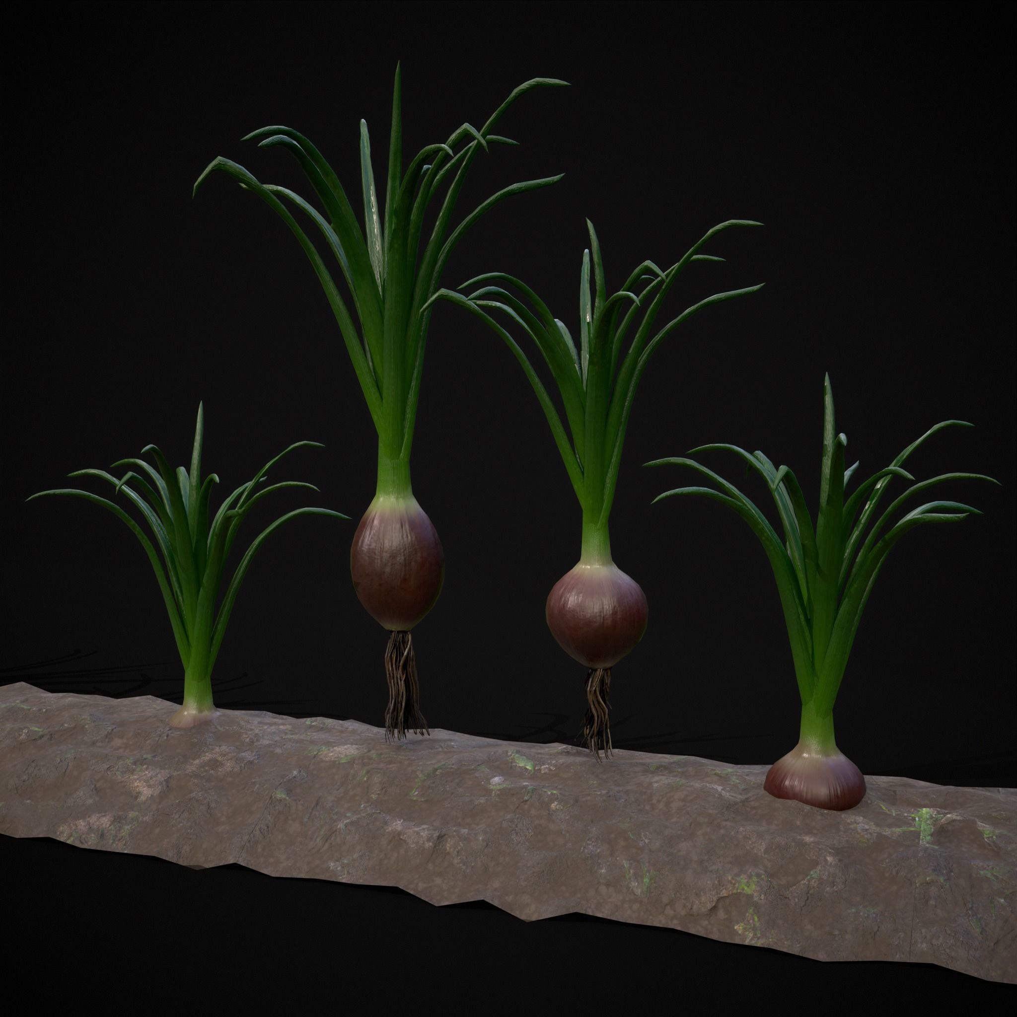 Crops Red Onions Low-poly 3D model_28
