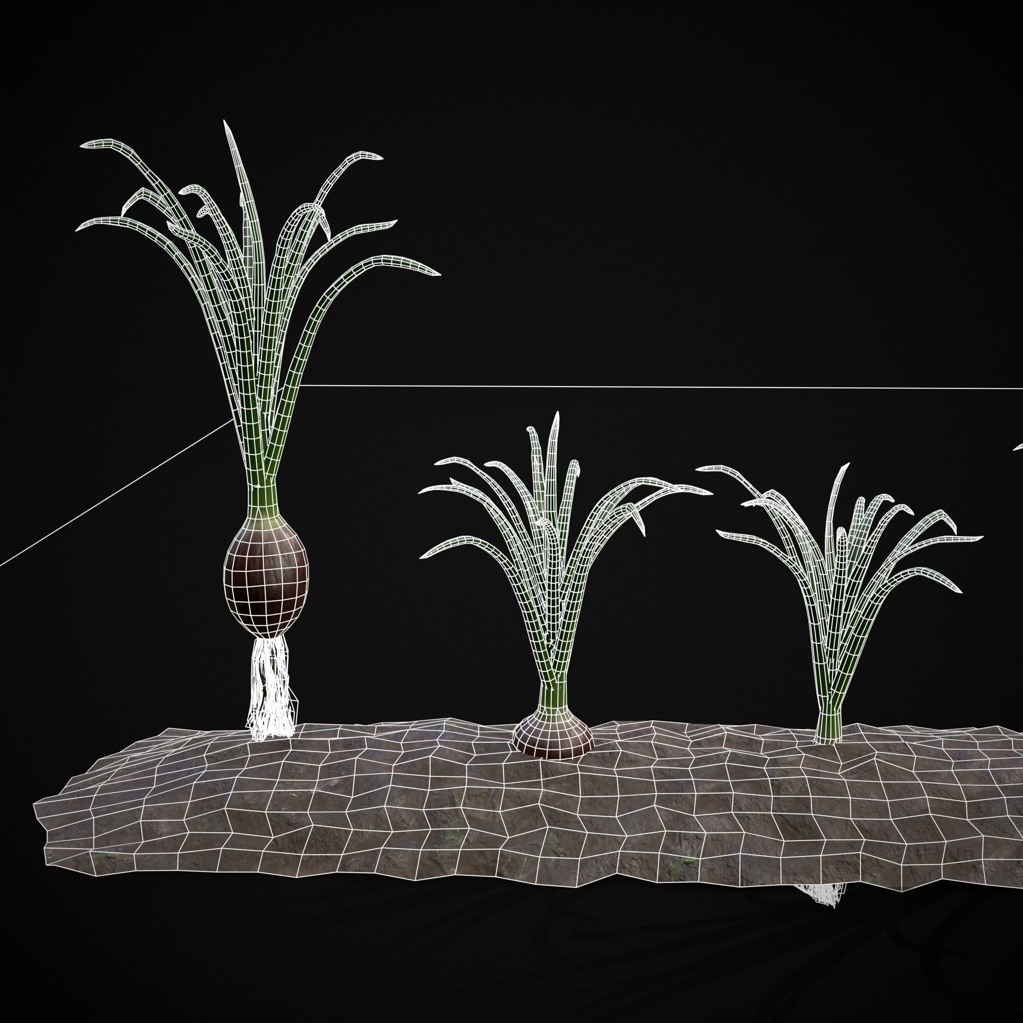 Crops Red Onions Low-poly 3D model_16