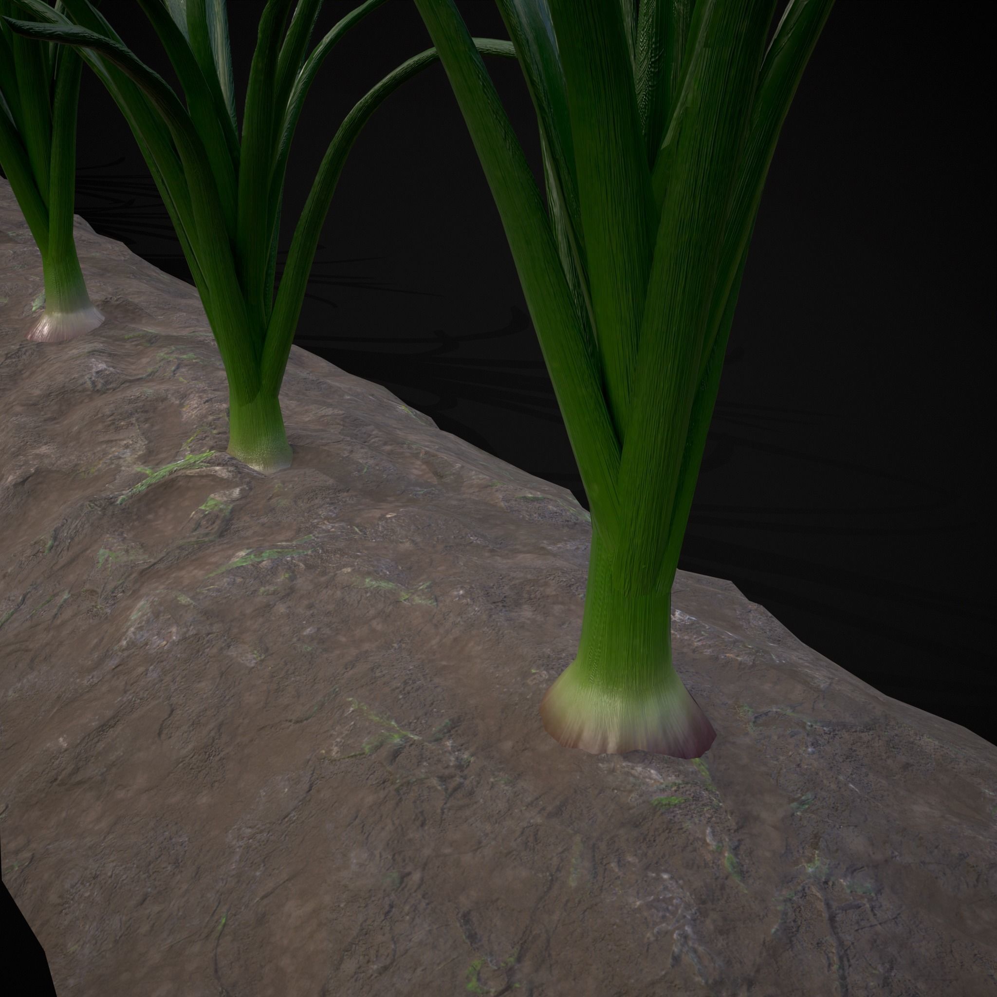 Crops Red Onions Low-poly 3D model_24