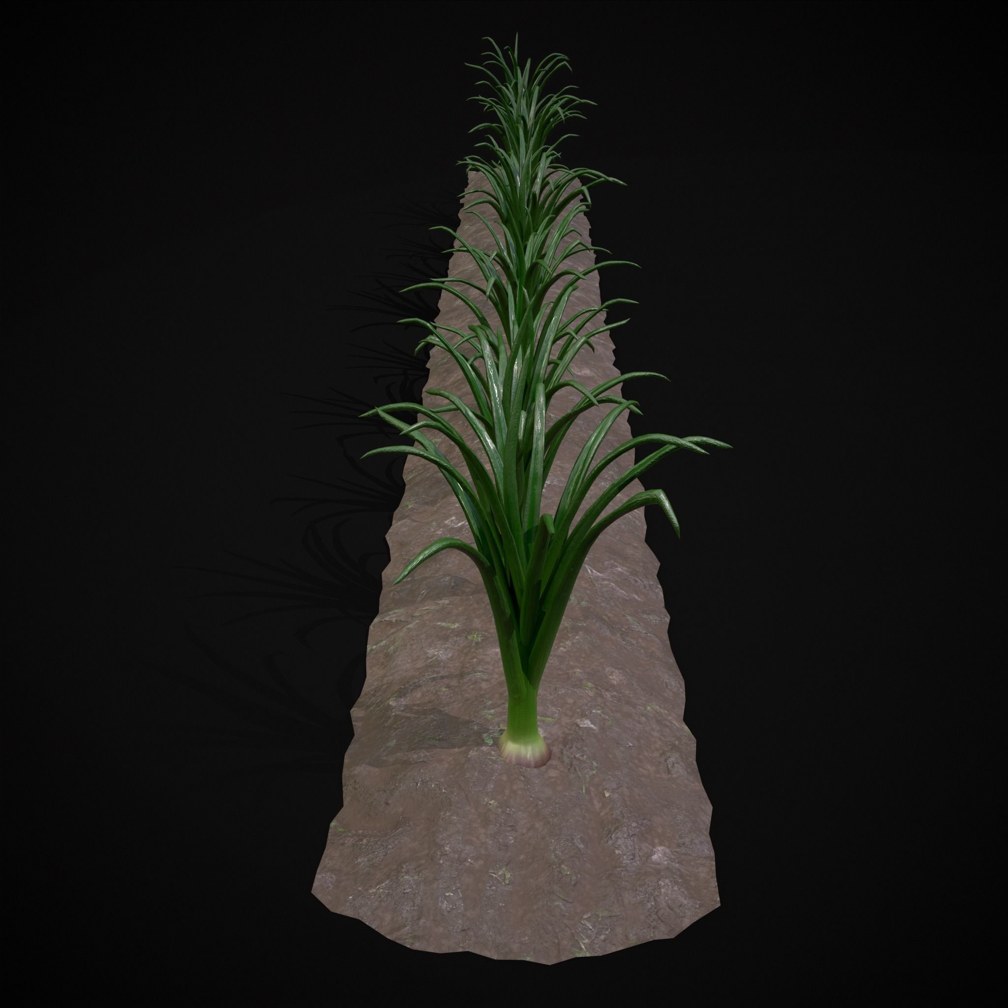 Crops Red Onions Low-poly 3D model_5