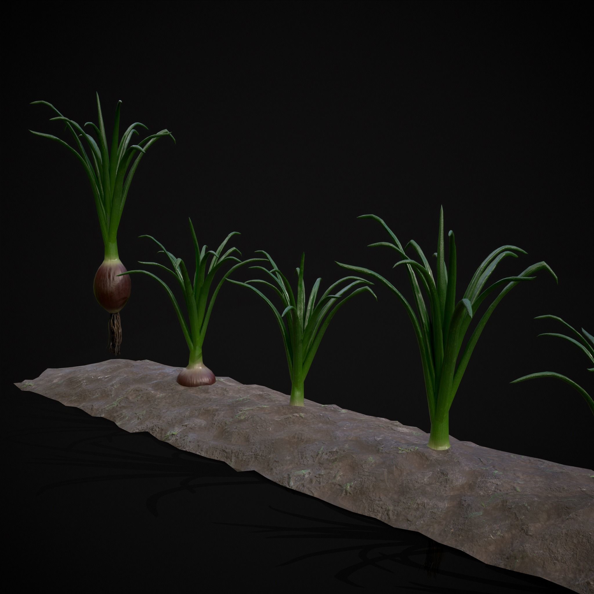 Crops Red Onions Low-poly 3D model_17