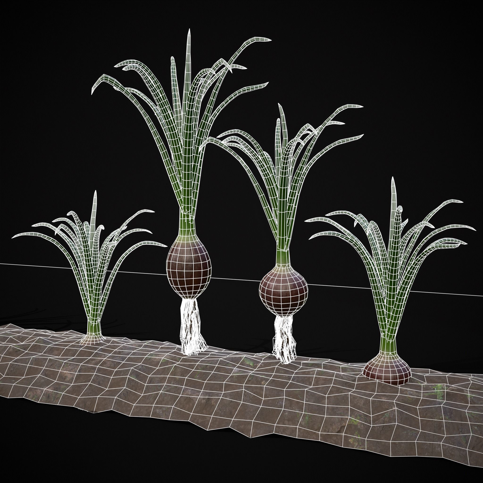 Crops Red Onions Low-poly 3D model_29