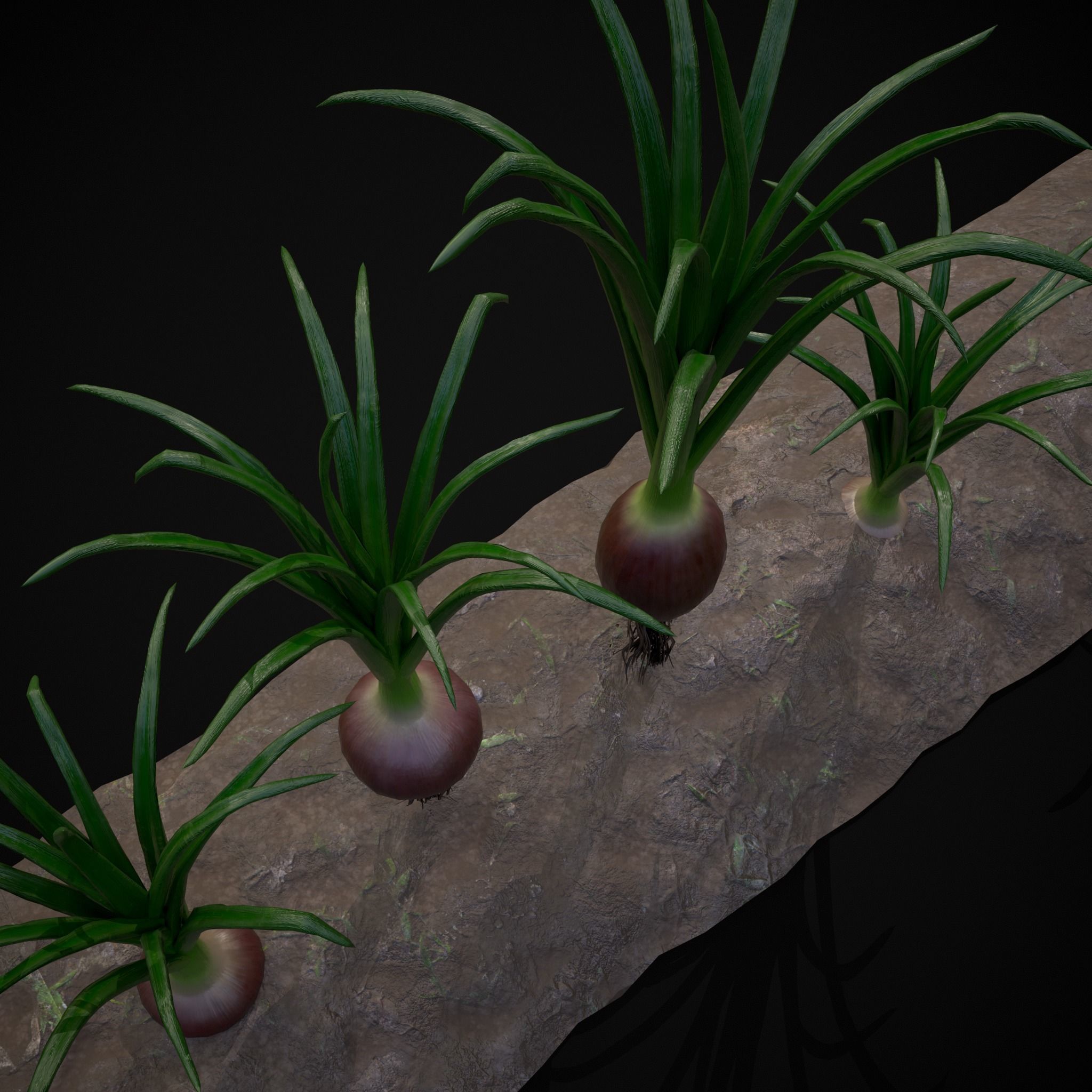 Crops Red Onions Low-poly 3D model_32