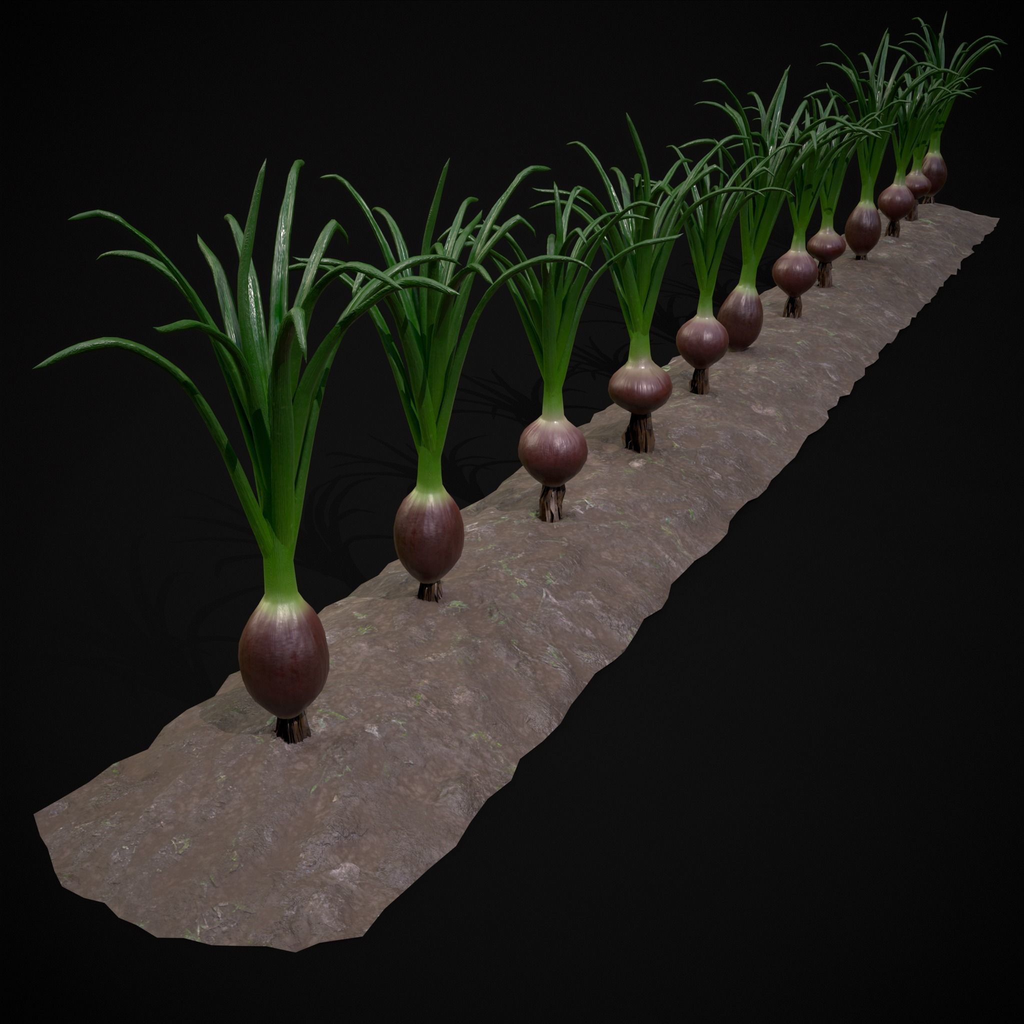Crops Red Onions Low-poly 3D model_2