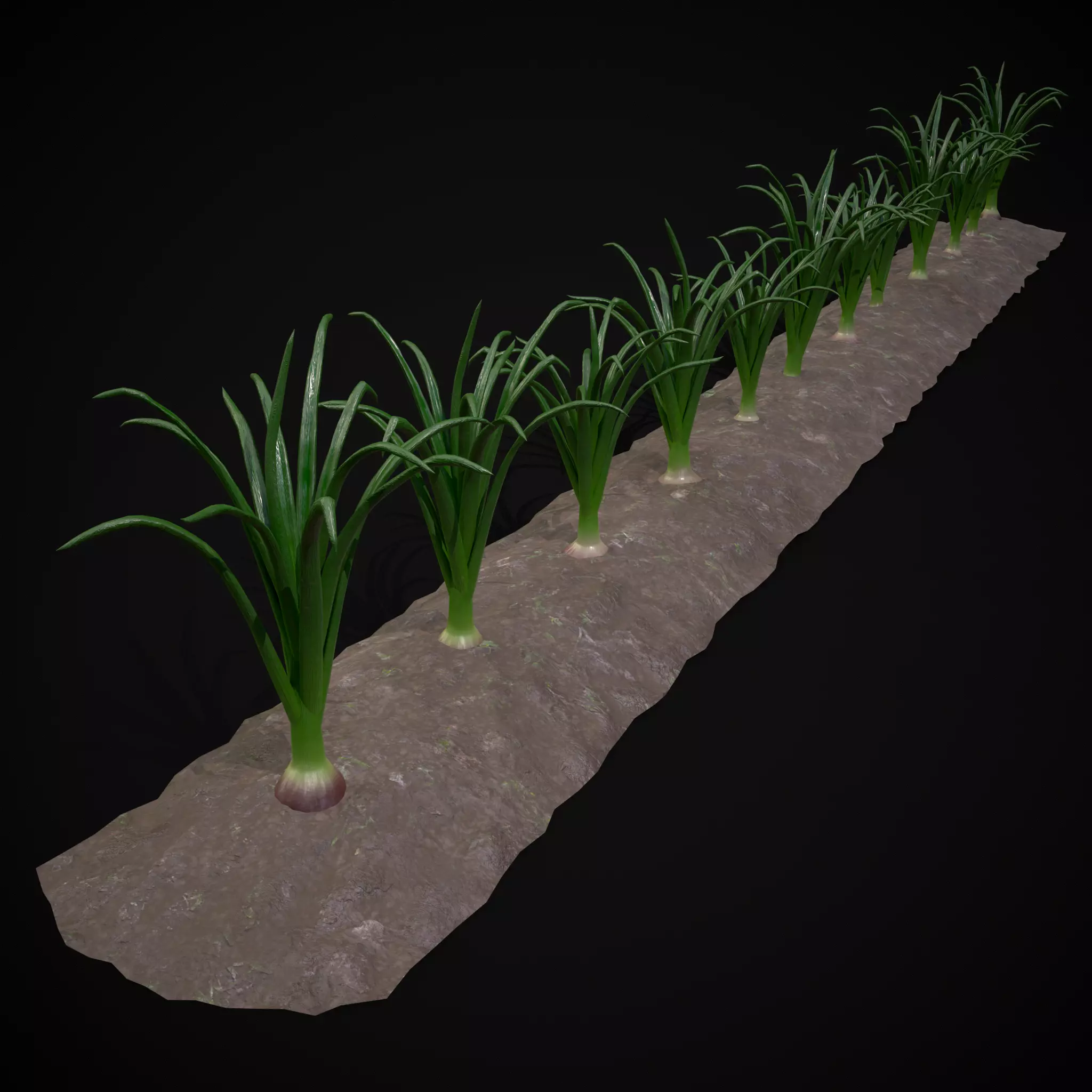 Crops Red Onions Low-poly 3D model_0