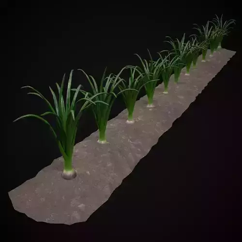 Crops Red Onions Low-poly 3D model