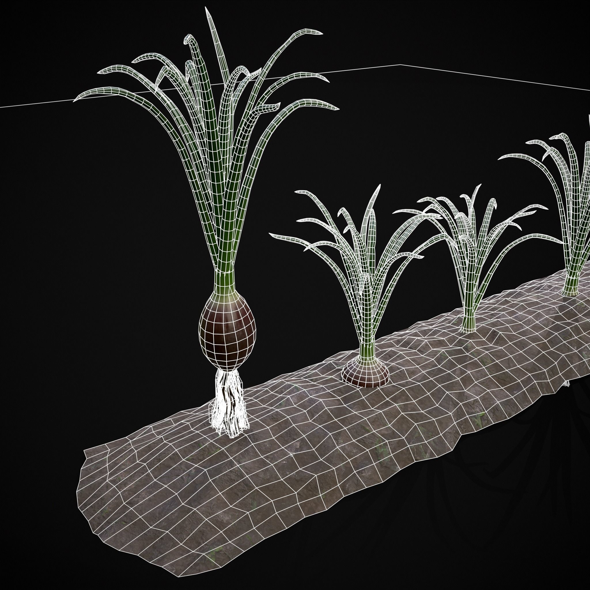 Crops Red Onions Low-poly 3D model_14