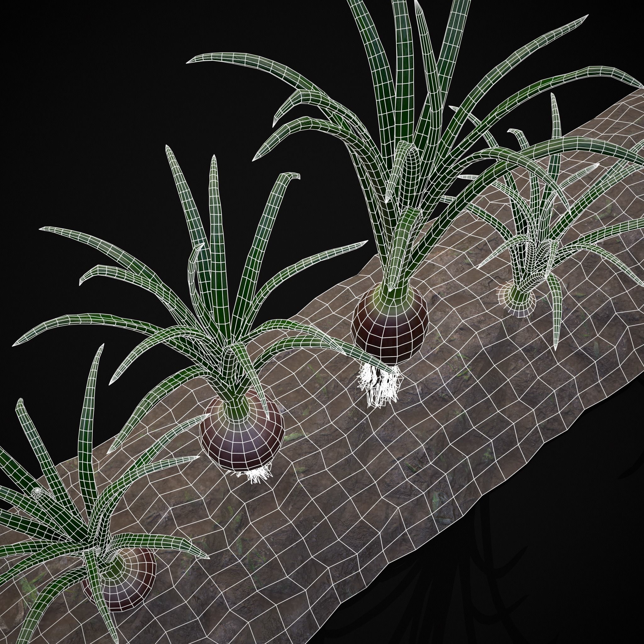 Crops Red Onions Low-poly 3D model_33