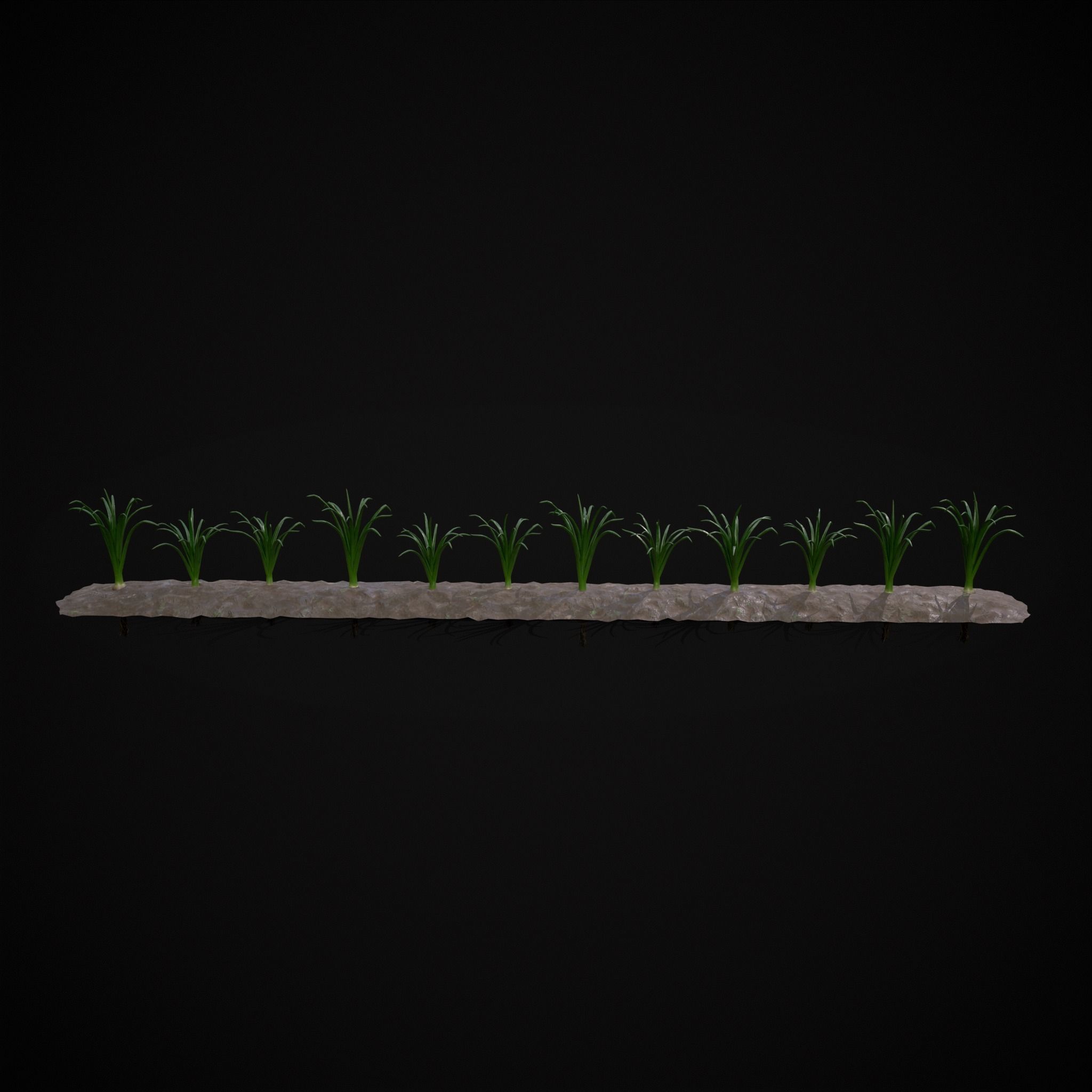 Crops Red Onions Low-poly 3D model_9