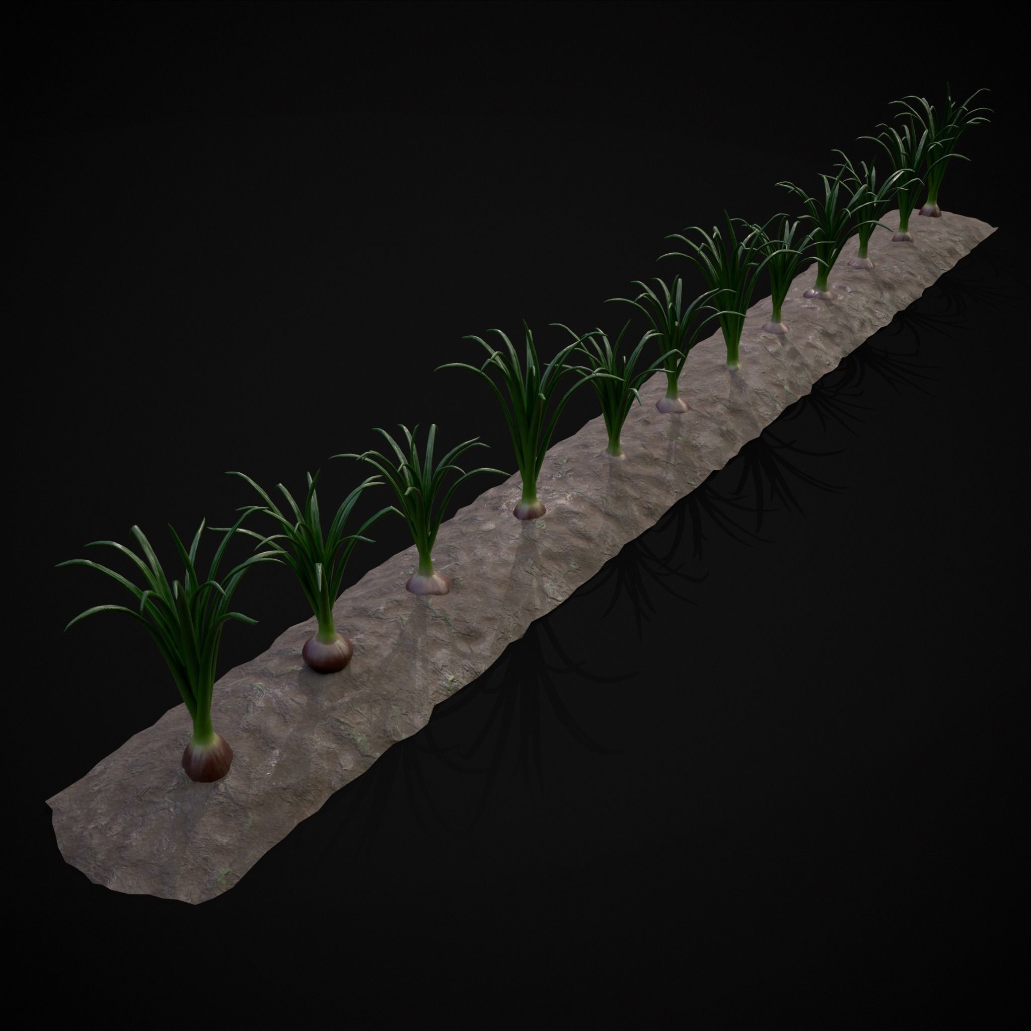 Crops Red Onions Low-poly 3D model_20