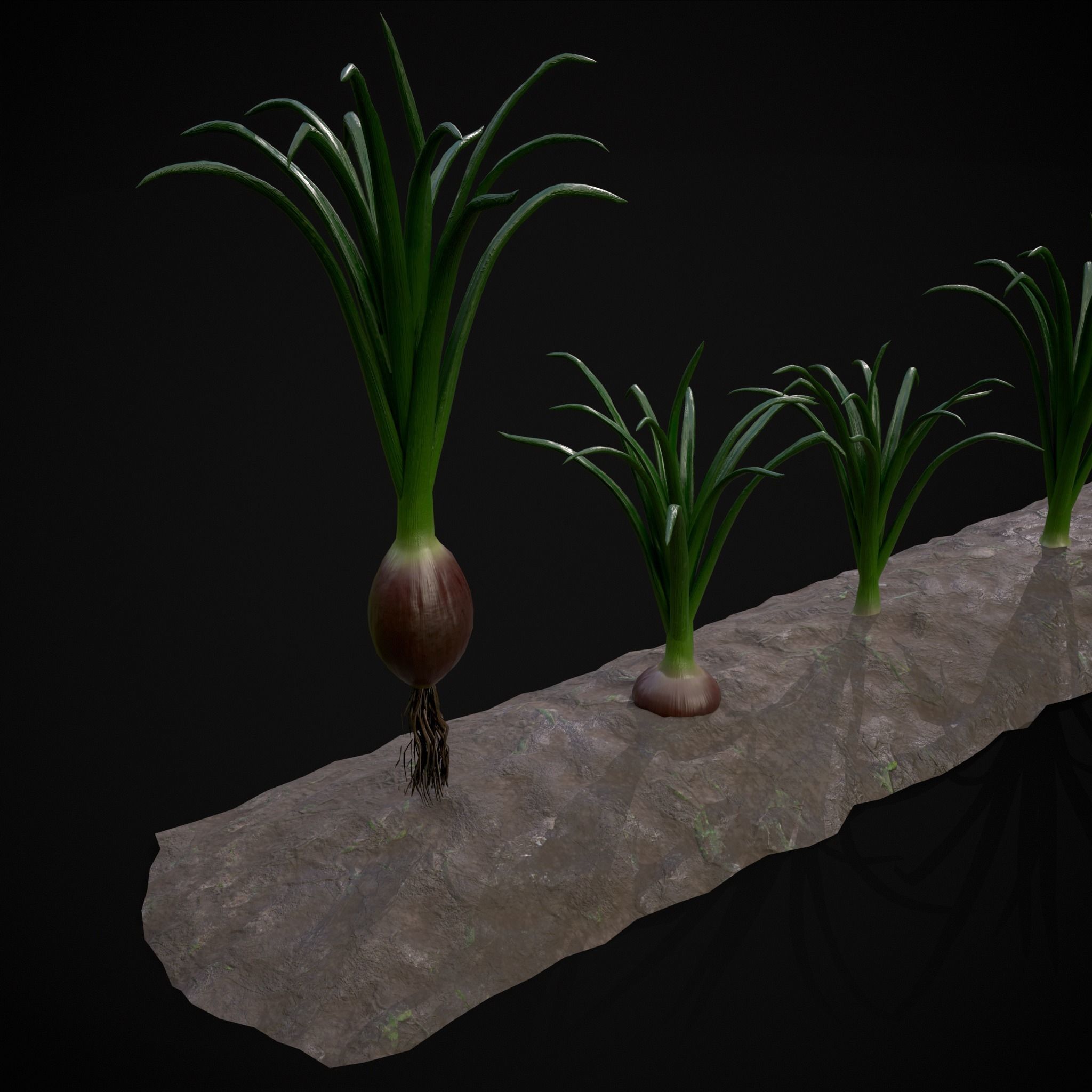 Crops Red Onions Low-poly 3D model_13