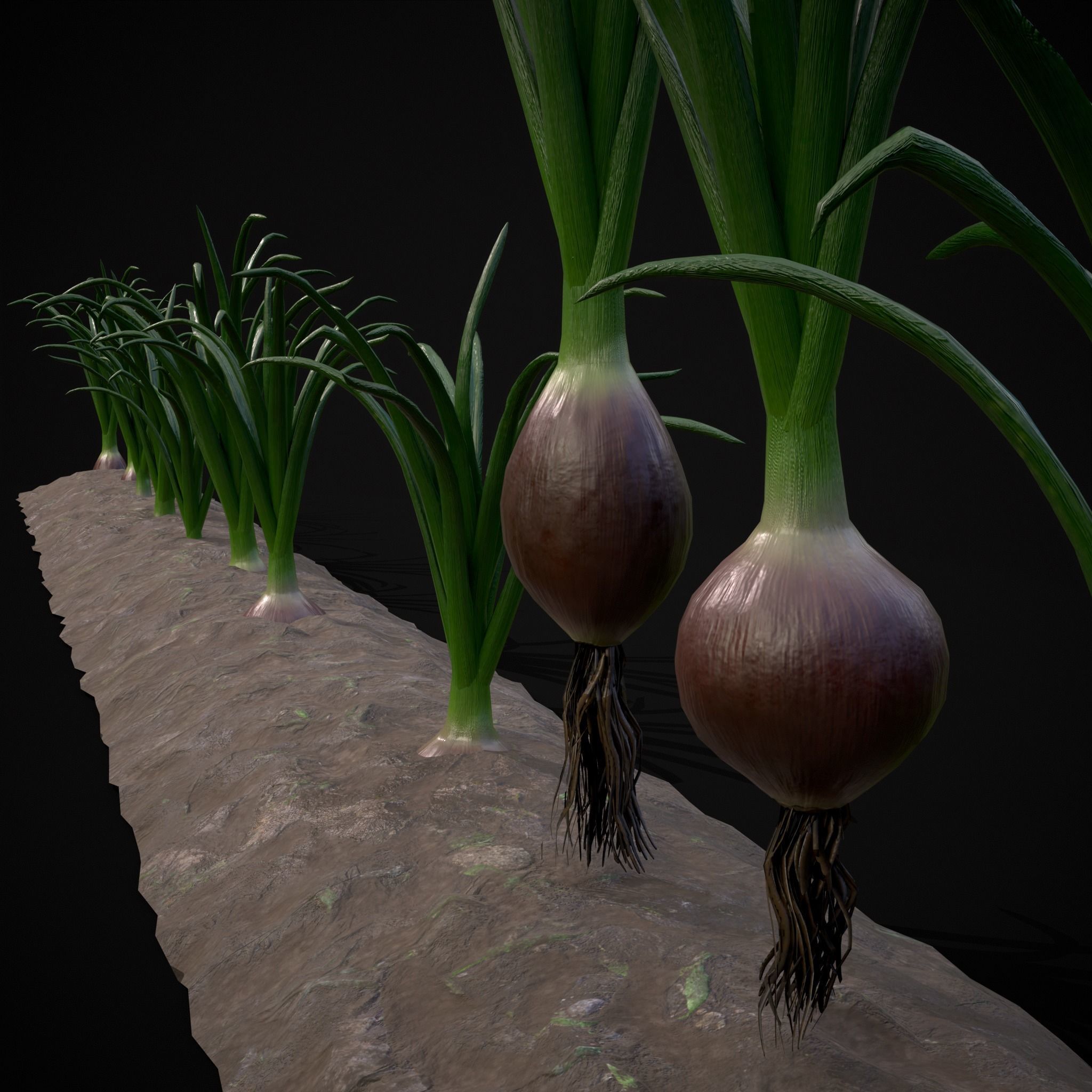 Crops Red Onions Low-poly 3D model_30