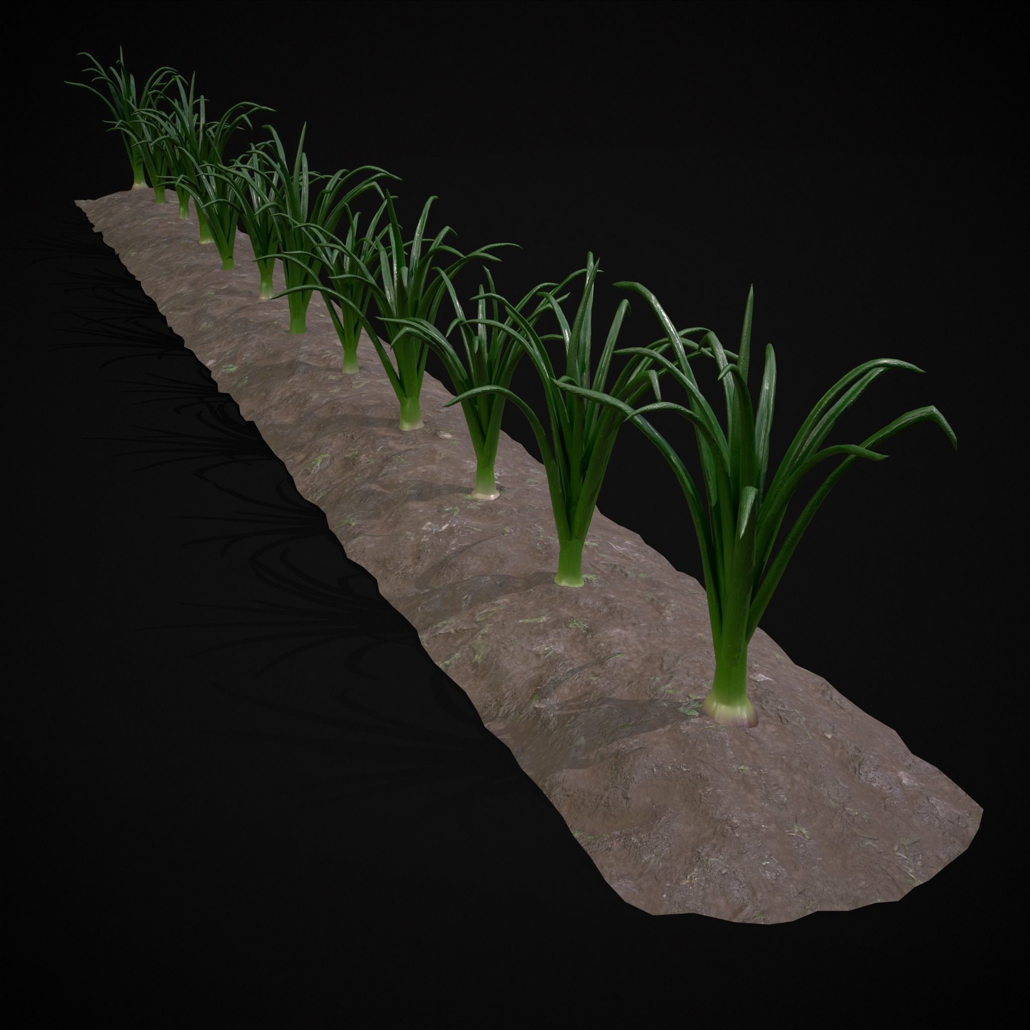 Crops Red Onions Low-poly 3D model_7