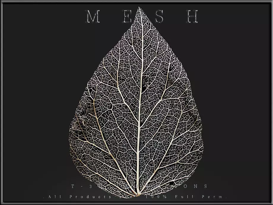 Dry Leaf Low-poly 3D model_0