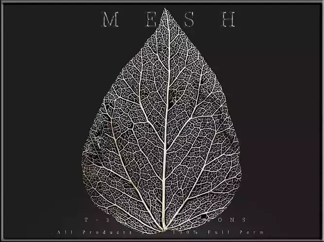 Dry Leaf Low-poly 3D model