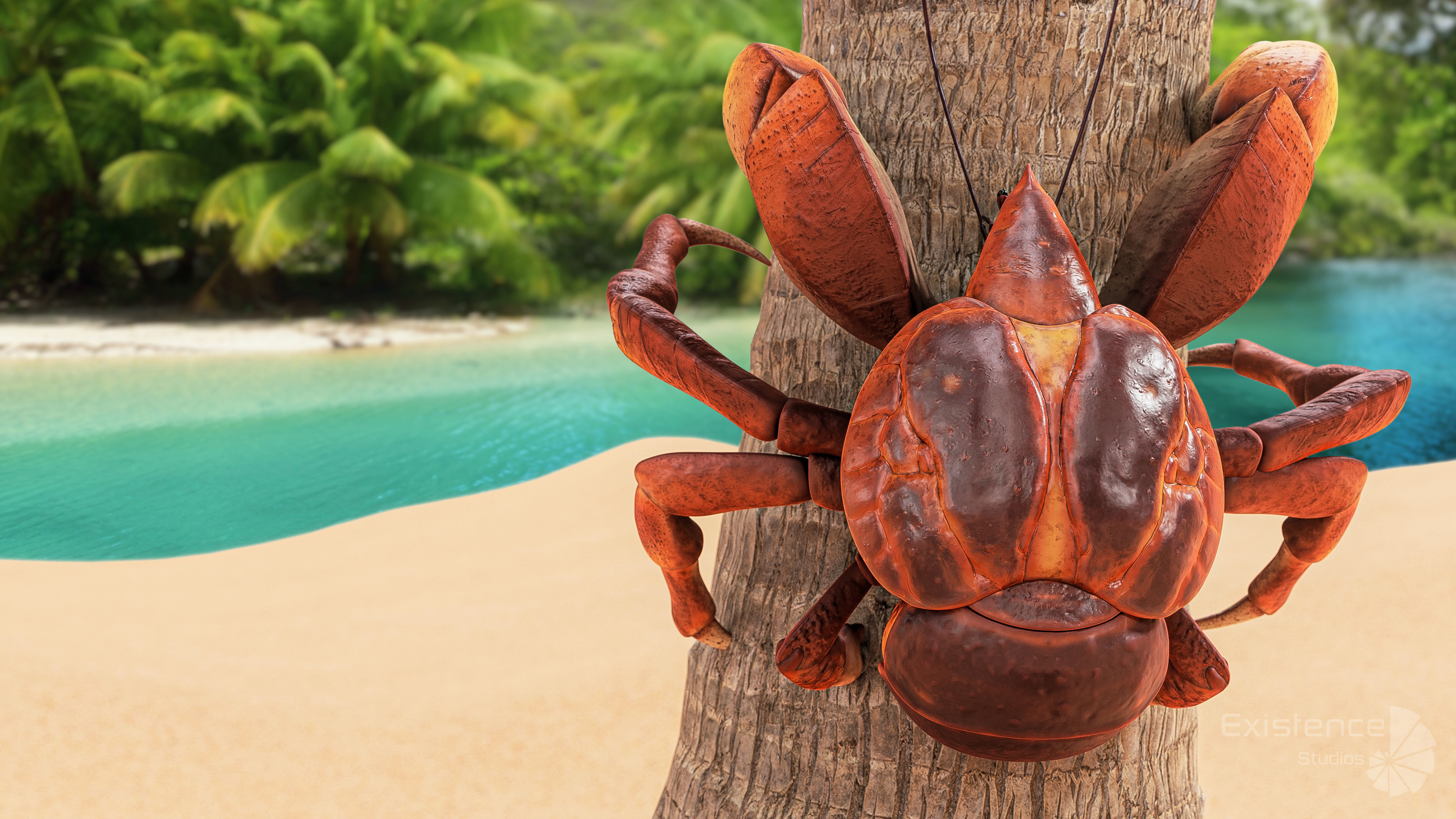 Coconut Crab - Snappy Palm Thief - Underwater Monster - 47 Low-poly 3D model_9