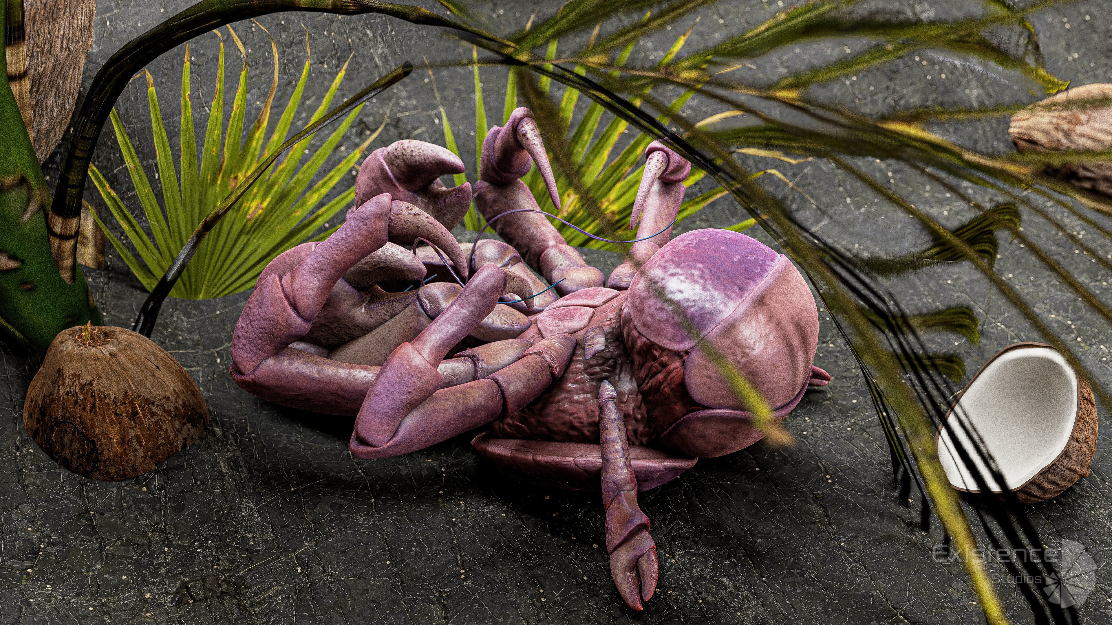 Coconut Crab - Snappy Palm Thief - Underwater Monster - 47 Low-poly 3D model_6