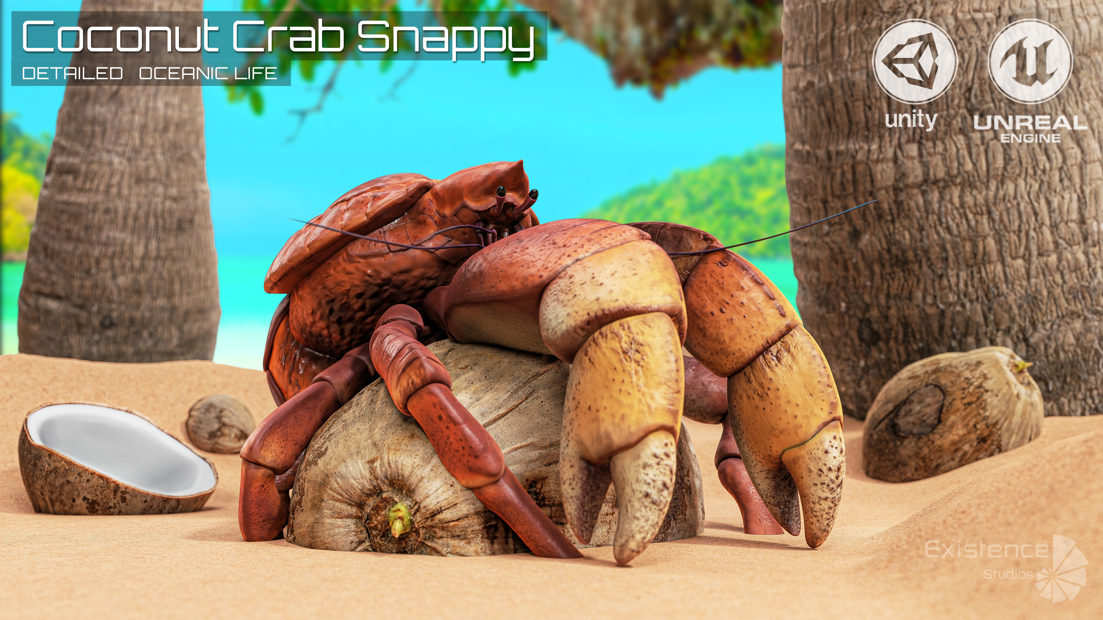 Coconut Crab - Snappy Palm Thief - Underwater Monster - 47 Low-poly 3D model_4