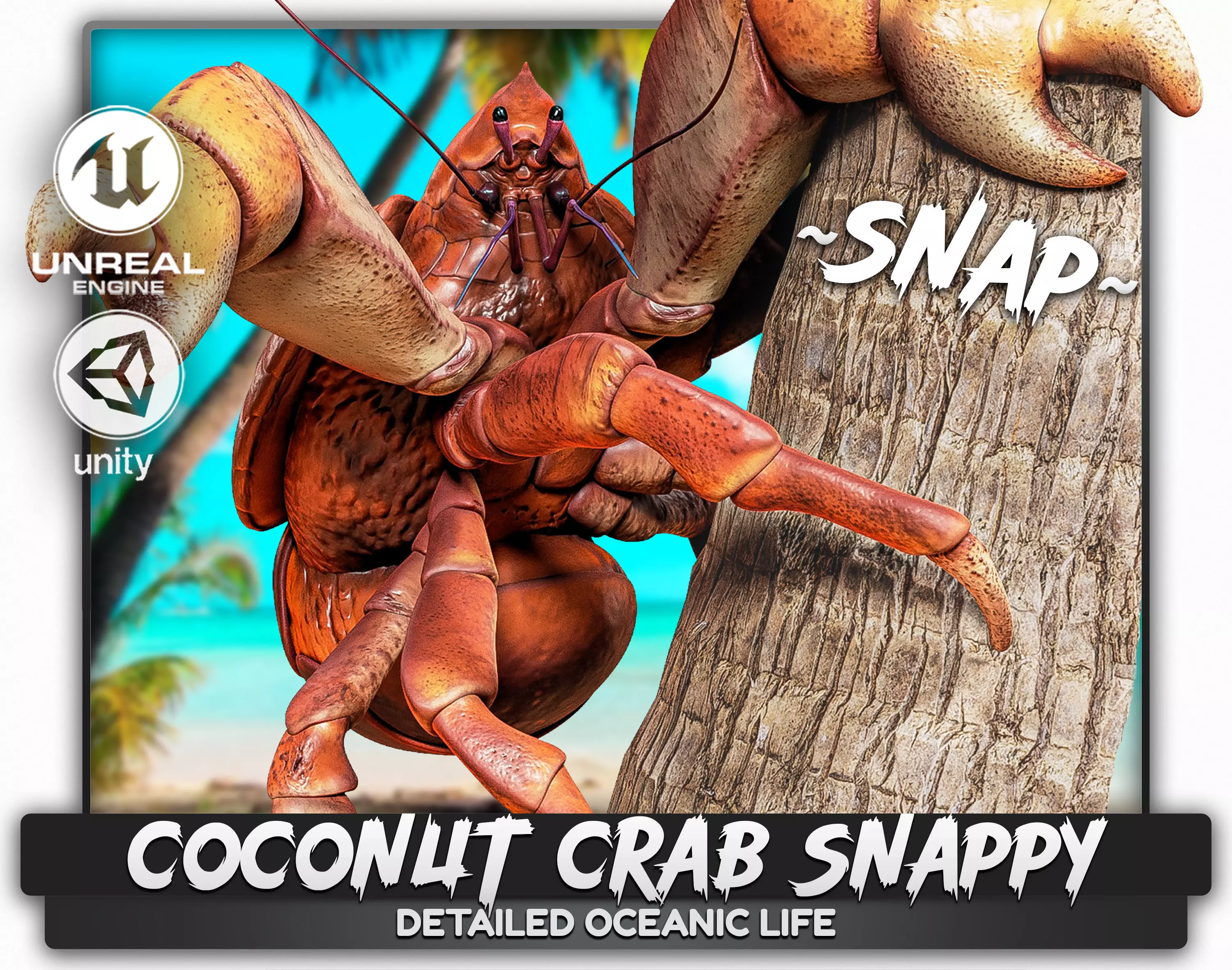 Coconut Crab - Snappy Palm Thief - Underwater Monster - 47 Low-poly 3D model_0