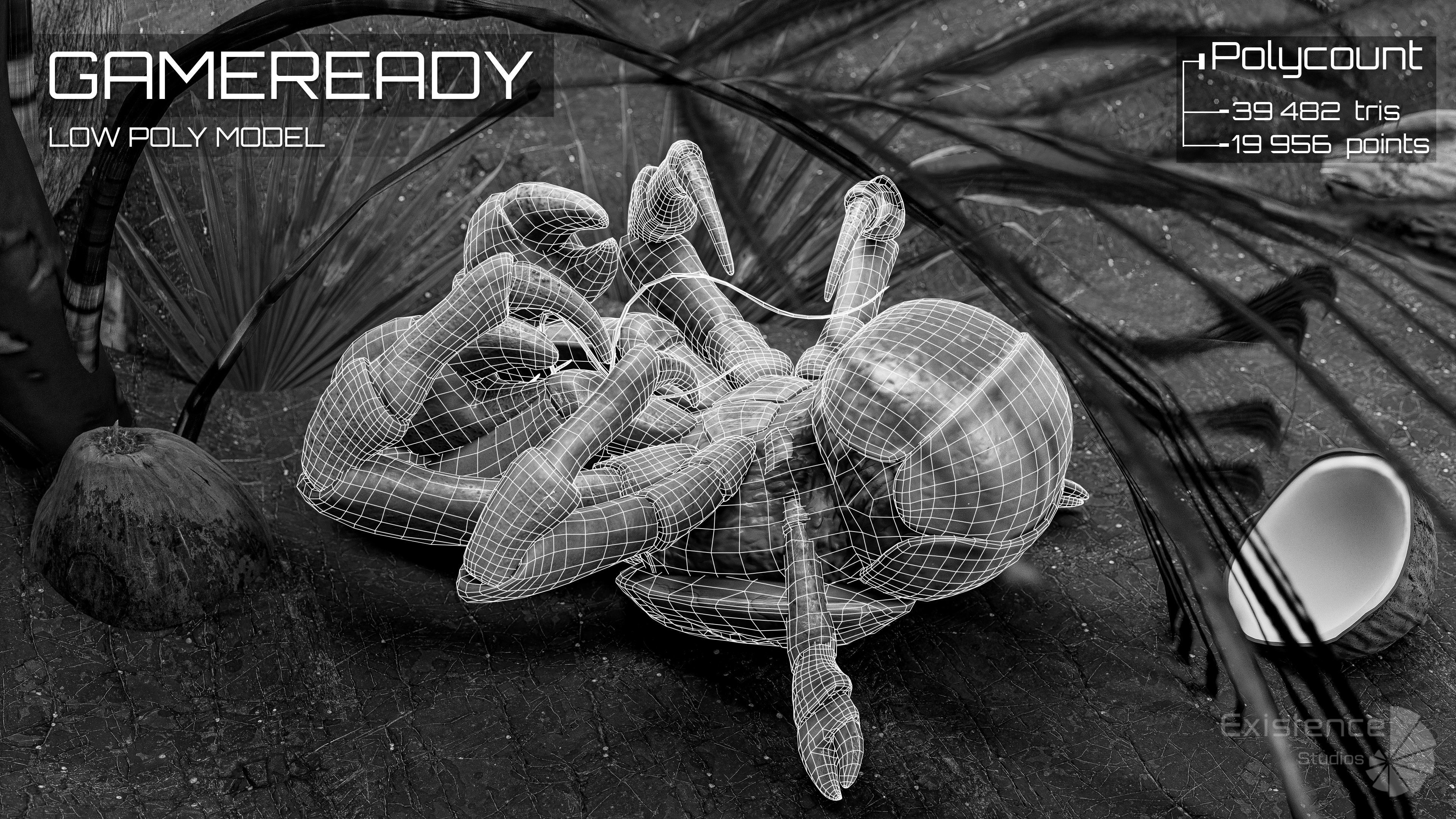 Coconut Crab - Snappy Palm Thief - Underwater Monster - 47 Low-poly 3D model_7