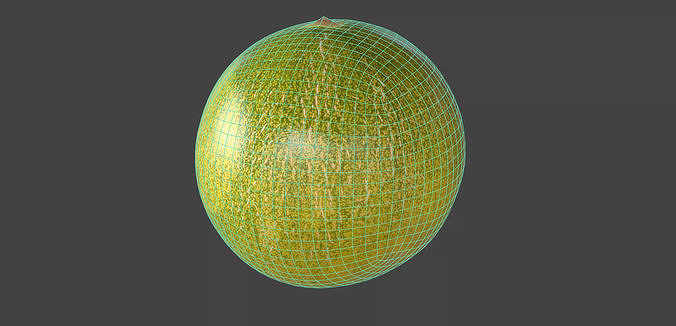 Melon 3D model 7