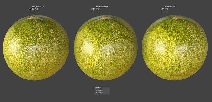 Melon 3D model 6
