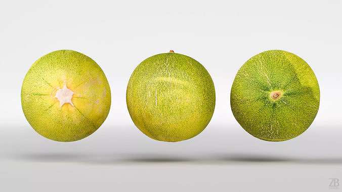 Melon 3D model 5