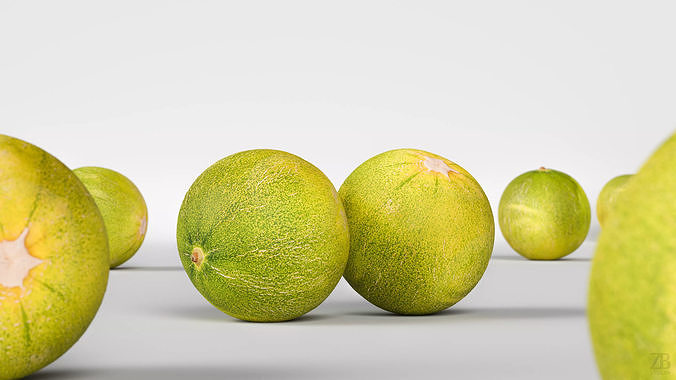 Melon 3D model 2