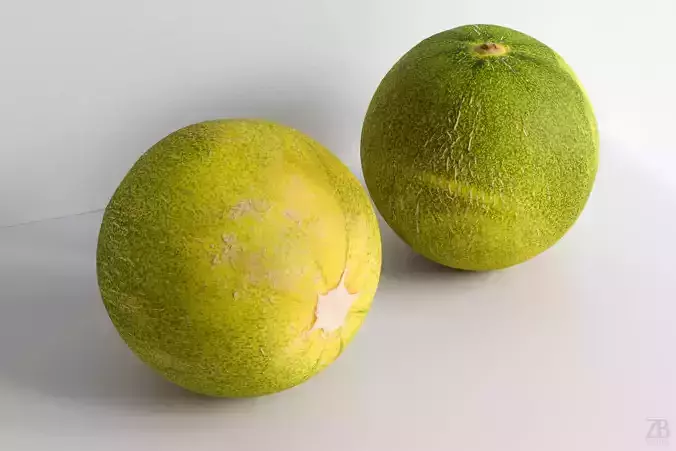 Melon 3D model