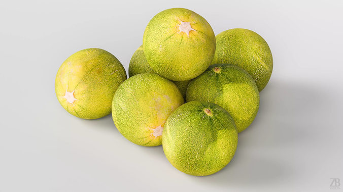 Melon 3D model 3