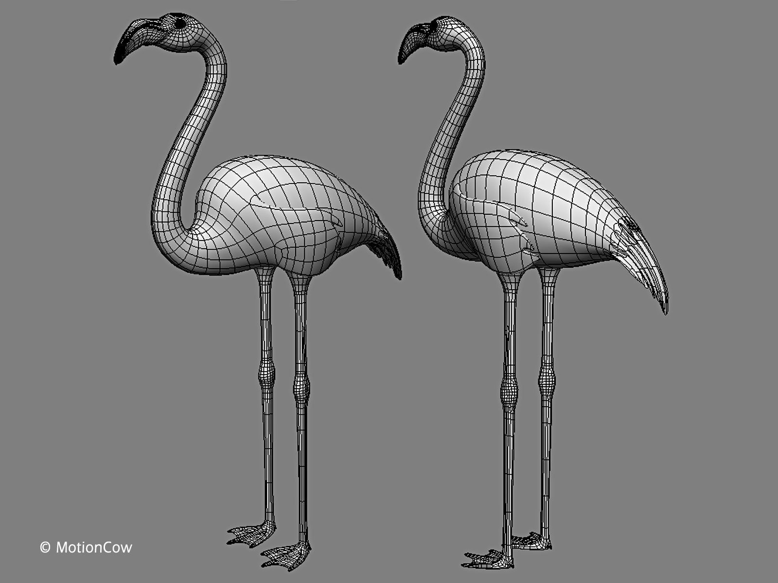 Flamingo Pink - Folded Wings 3D model_12