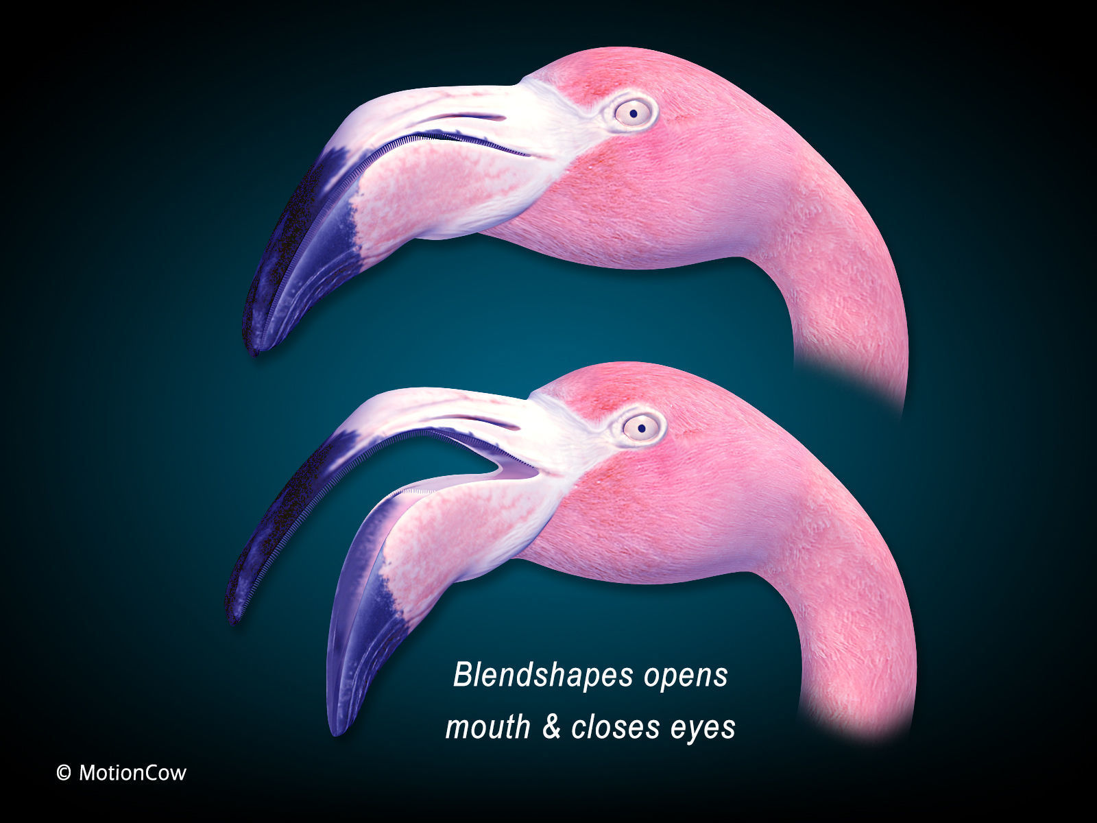 Flamingo Pink - Folded Wings 3D model_3