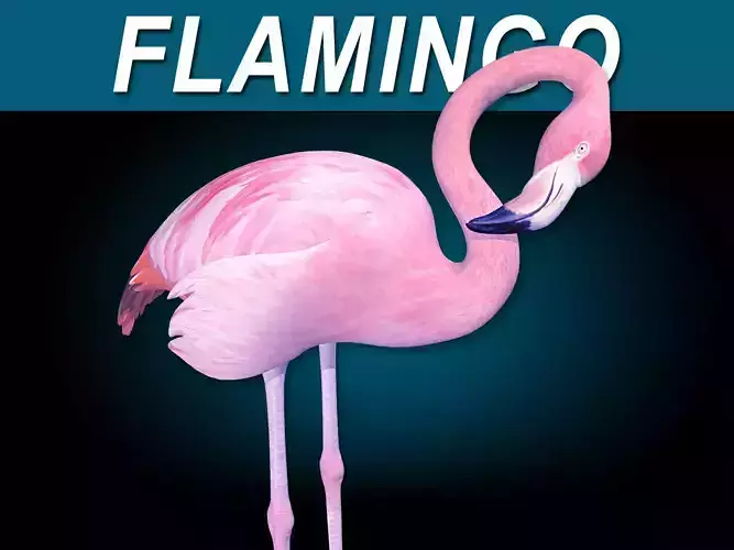 Flamingo Pink - Folded Wings 3D model