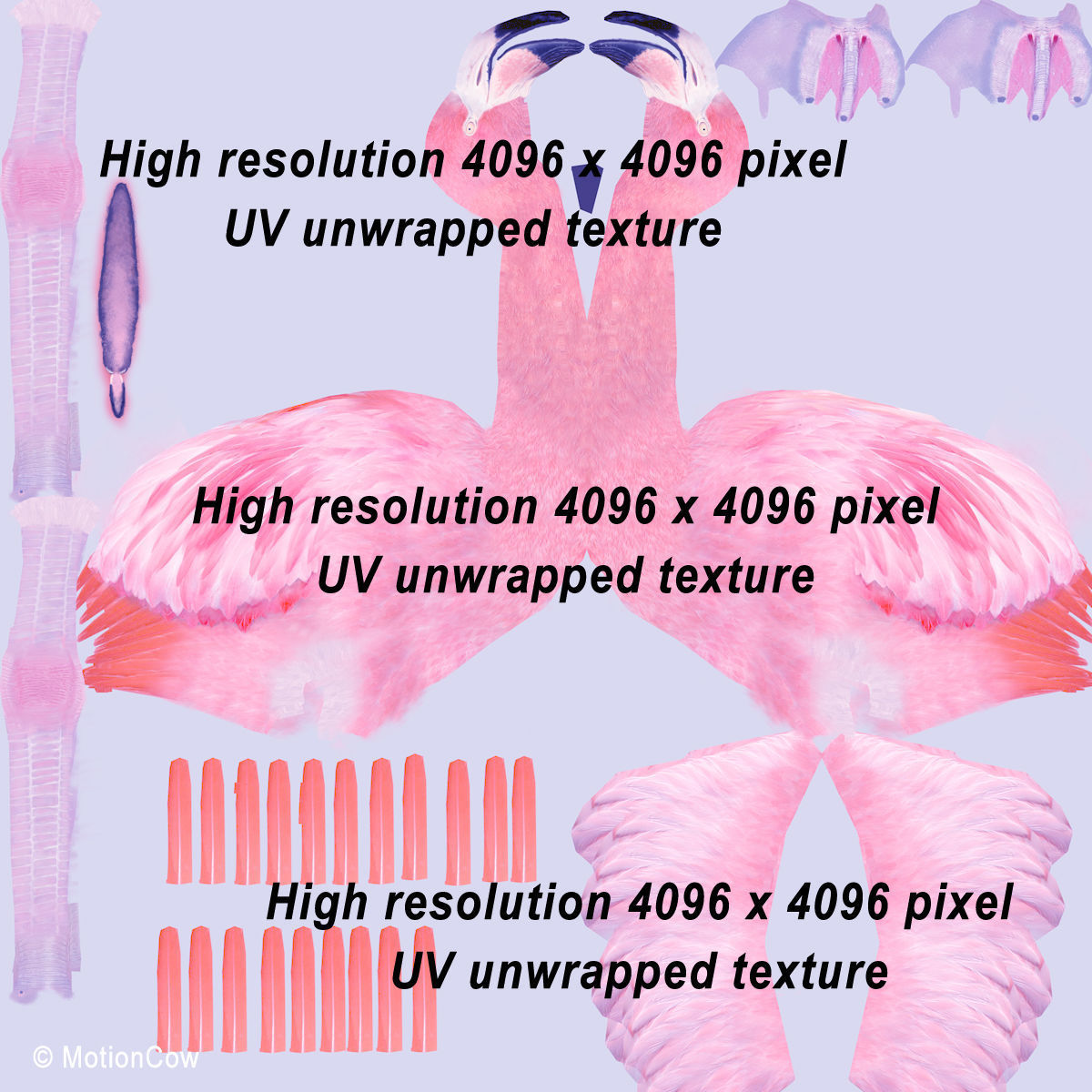 Flamingo Pink - Folded Wings 3D model_15