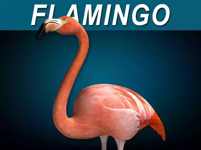 Flamingo - Folded Wings 3D model