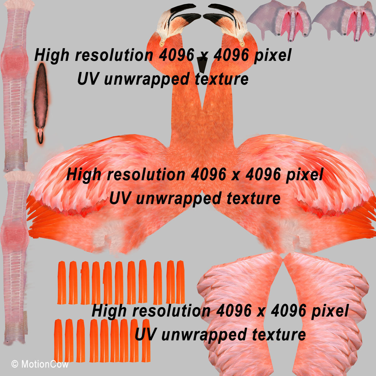 Flamingo - Folded Wings 3D model_14