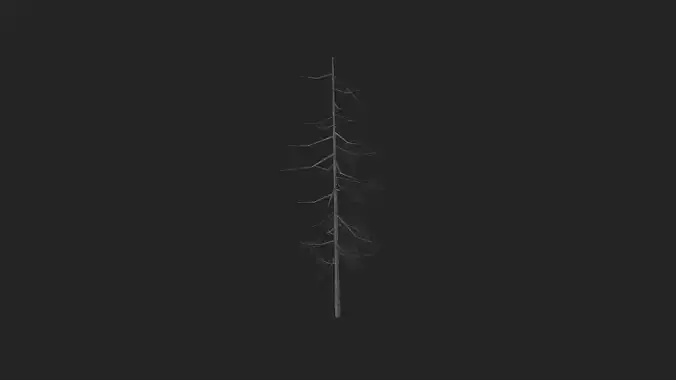 Tree 3D Model 027