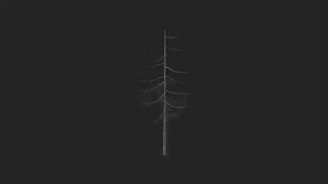Tree 3D Model 028