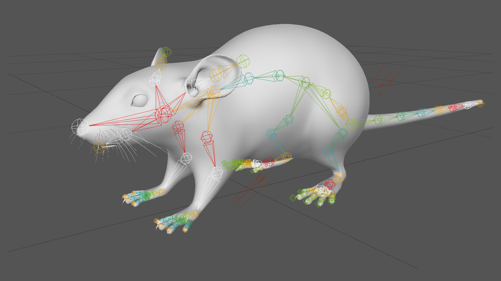 Rat - White 3D model_18