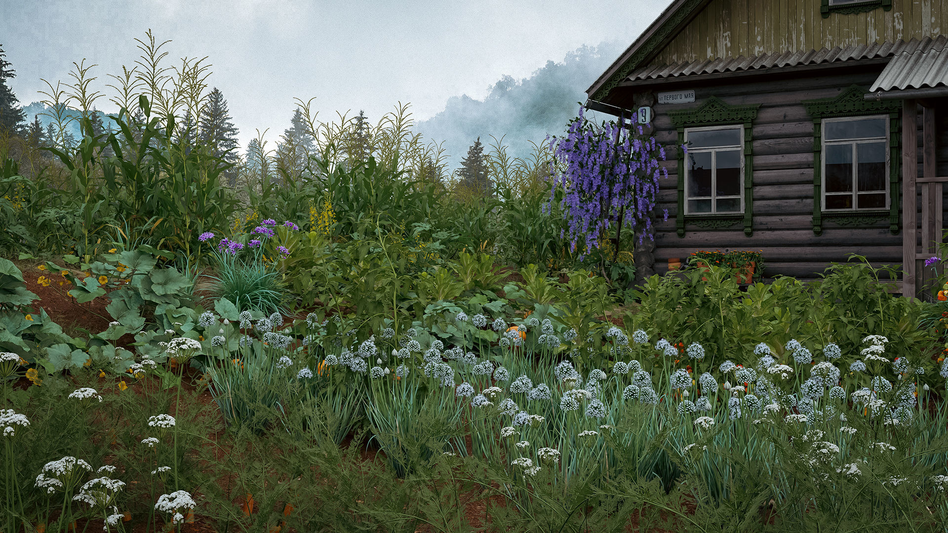 Bundle 37 - Vegetable plant 3D model_2