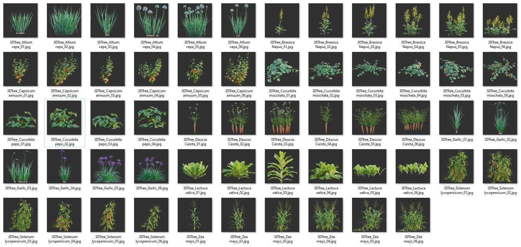 Bundle 37 - Vegetable plant 3D model_3