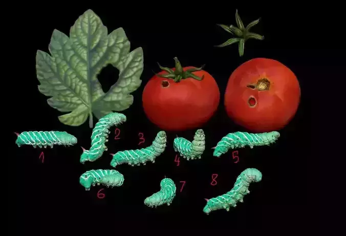 Caterpillar Set 3D print model
